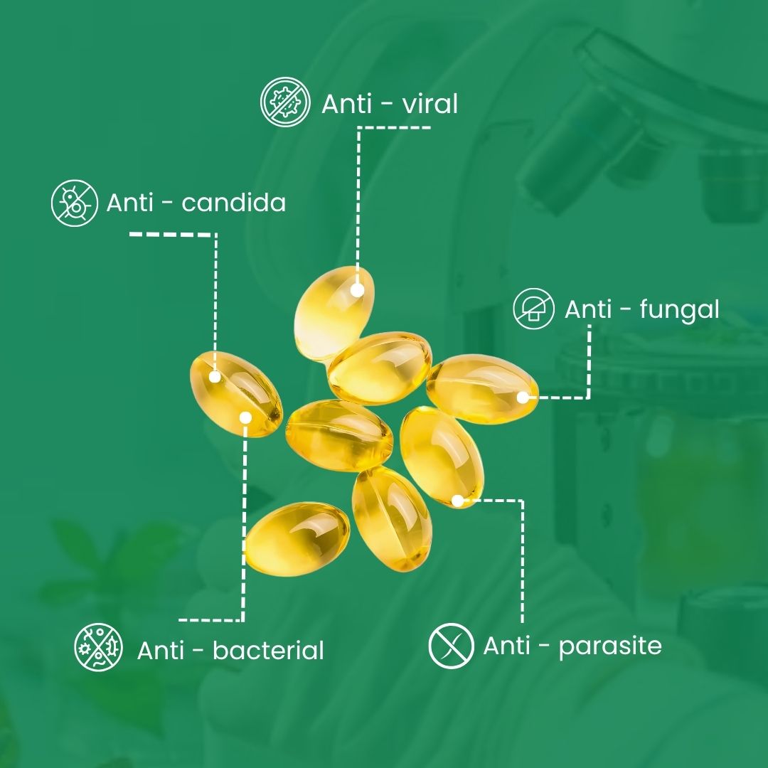 (60 pcs) Microsupplements™ Oil Of Oregano